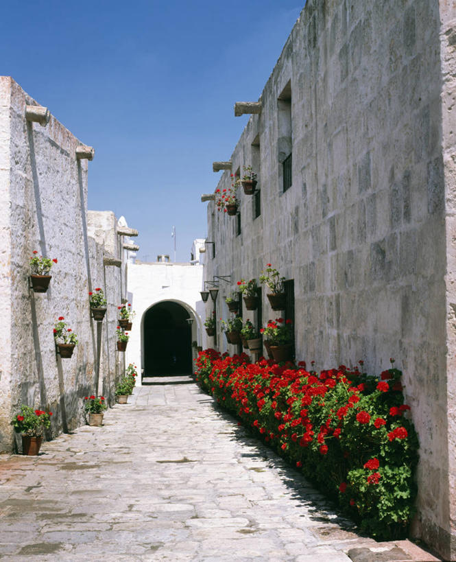 无人,竖图,室外,白天,秘鲁,装饰,大门,墙,拱门,花,花朵,摄影,宗教建筑,透视图,万里无云,彩图