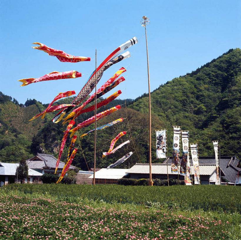 无人,横图,方图,室外,白天,风,风向袋,纺织品,日本,庆祝,日本文化,装饰,标语,摄影,福岛县,彩图,传统节日