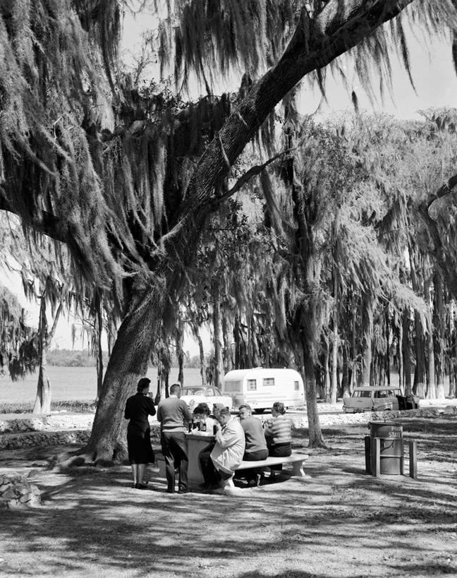 公园,坐,竖图,黑白,室外,白天,旅游,度假,椅子,美国,行人,游客,游人,长椅,路人,旅客,树,放松,摄影,过客