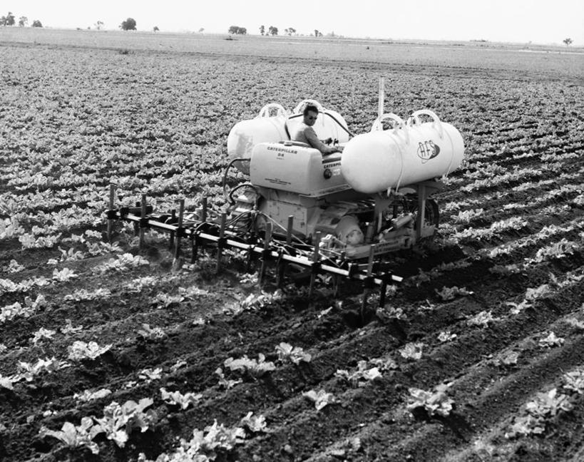 脸,头,脸颊,一个人,农民,农场,坐,横图,黑白,室外,白天,农业,农作物,机器,美景,植物,美国,朦胧,模糊,肥料,地平线,景观,田地,辽阔,地面,饮食,肩膀,背面,天空,自然,广阔,机械,景色,摄影,生长,一望无际,北美,加利福尼亚,自然风光,延伸,驾车,农具,天地相交,根甜菜,红菜头,甜菜根,菾菜,紫菜头,糖萝卜,耕具,无边无际,一马平川,头部,脸部,脸蛋,面部,耕地,农业机械