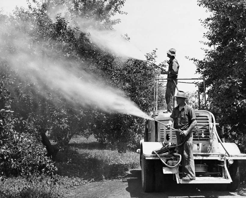 成年人,两个人,农民,果园,农场,横图,黑白,室外,白天,农业,机器,美景,树林,植物,汽车,帽子,美国,喷,飞溅,裤子,朦胧,模糊,景观,水管,车,树,树木,绿色,天空,自然,交通工具,机械,景色,摄影,生长,成长,保护,控制,北美,加利福尼亚,自然风光,载具,拖拉机,喷雾器,农具,杀虫剂,耕具,农业机械