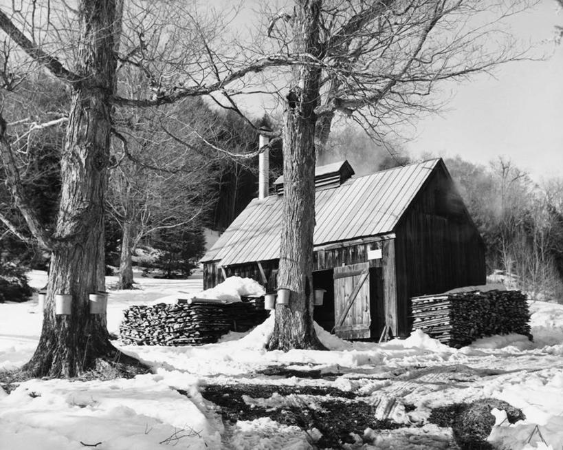 无人,农场,横图,黑白,室外,白天,农业,美景,森林,树林,雪,建筑,枫树,美国,阴影,木制,景观,冬天,天气,树,树干,天空,自然,景色,寒冷,季节,摄影,北美,北美洲,圆木,自然风光,美洲,万里无云,新罕布什尔州,北亚美利加洲,亚美利加洲,糖枫,新罕布什尔,新罕布夏州,花岗岩州,花冈岩之州,滑雪之州,新英格兰,纽英仑,树液,小木屋,美利坚合众国