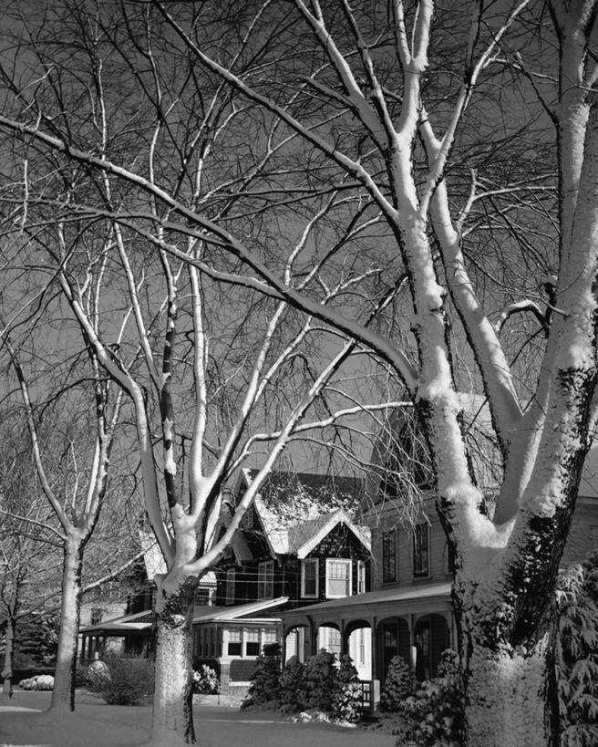 无人,竖图,黑白,室外,白天,雪,建筑,房屋,冬天,天空,寒冷,季节,摄影,住房,居住区