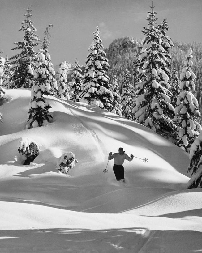 成年人,一个人,竖图,黑白,室外,白天,旅游,度假,运动,美景,山,雪,仅一个男性,服装,朦胧,模糊,景观,冬天,娱乐,极限运动,车,树,衣服,天空,自然,交通工具,享受,休闲,温暖,景色,放松,寒冷,季节,摄影,服饰,活动,保暖,滑雪杖,雪橇,动作,御寒,自然风光,载具,雪橇车,滑雪服,常绿树,茄克,下移,技能,滑雪运动,竞技服,旅游服,冬装,男人,休闲活动