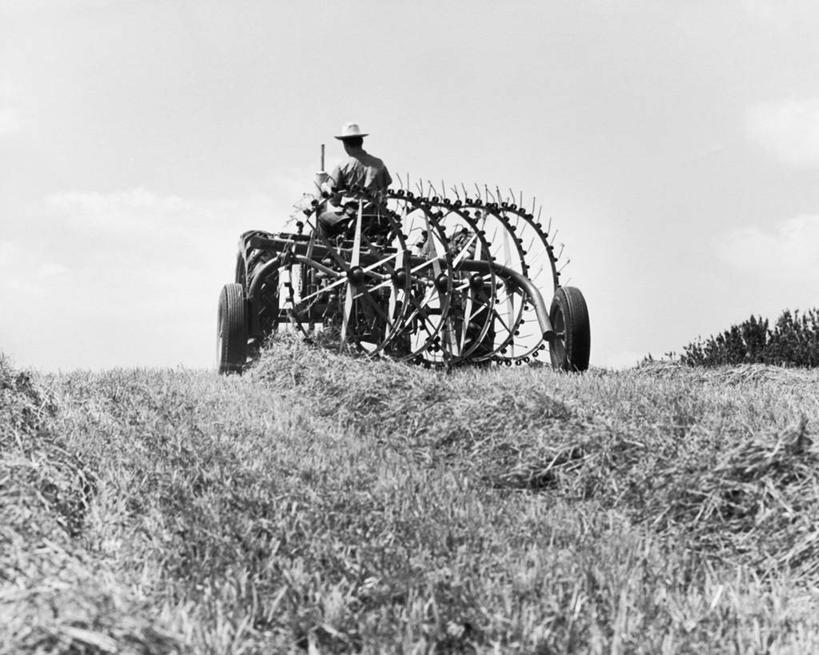 一个人,农民,坐,横图,黑白,室外,白天,农业,机器,美景,汽车,朦胧,模糊,景观,田地,干草,车,背面,天空,自然,交通工具,机械,景色,摄影,自然风光,载具,拖拉机,农具,耕具,半身,农业机械