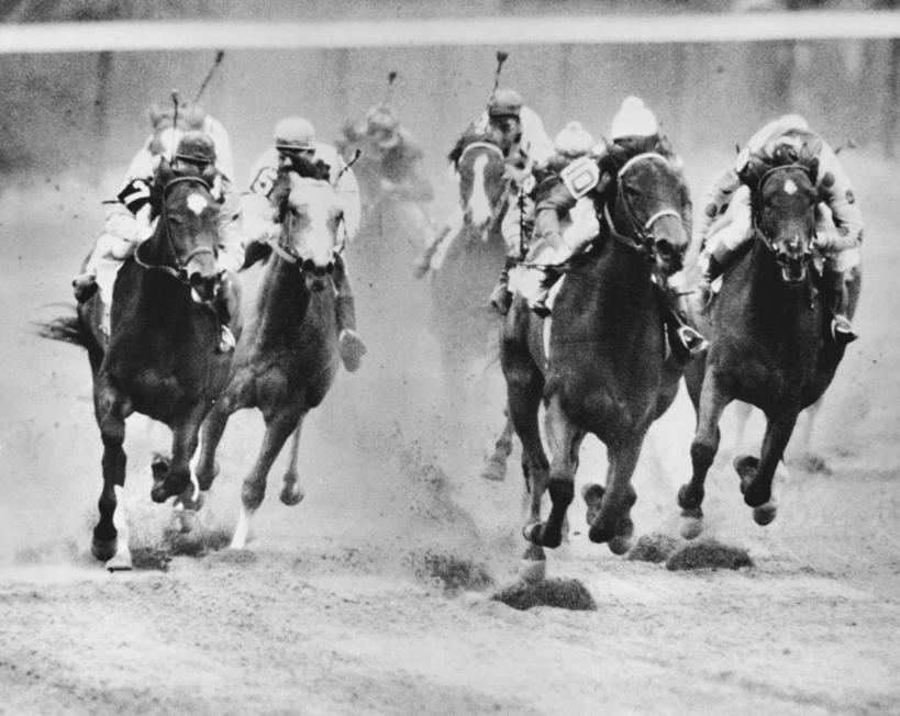 成年人,人群,运动员,跑,横图,黑白,室外,白天,锻炼,快乐,比赛,运动,竞争,哺乳动物,马,野生动物,骑马,朦胧,模糊,竞技运动,娱乐,骑,动物,休闲,家畜,摄影,迅速,灰尘,体育运动,决心,马术帽,跑马场,敌对,体育,赛马,男人,体育运动员,运动选手,健身,径赛,策骑者,骑师,赛马骑师