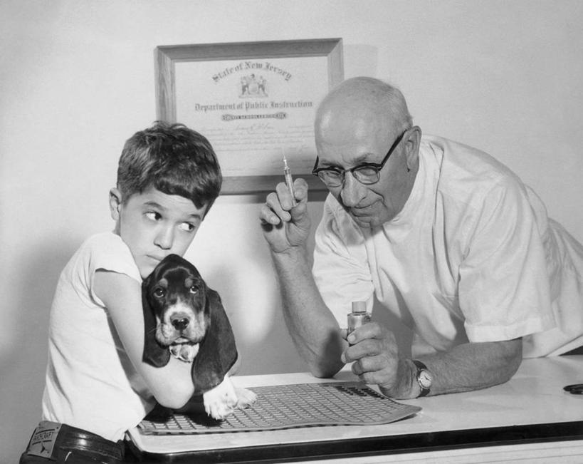 西方人,儿童,成年人,老年人,两个人,兽医,医院,横图,黑白,室内,纯洁,安全,床,桌子,哺乳动物,宠物,狗,野生动物,欧洲,欧洲人,弯腰,检查,文凭,眼镜,药剂,床单,防护,注视,休闲装,被子,小孩,动物,病床,瓶子,药品,观察,看,靠,靠着,可爱,童年,童趣,治疗,注射,摄影,观看,保护,腕表,药物,年龄,察看,医疗,被单,恐怖,关爱,关注,主题,保险,预防,童真,烂漫,无邪,注射剂,技能,平安,天真,注射液,老年男性,男孩,男人,男性,白种人,孩子,拥抱,半身,护理床,医疗床