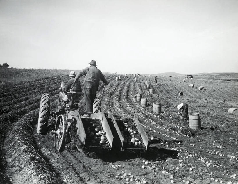 成年人,两个人,农民,农场,横图,室外,白天,农业,蔬菜,朦胧,模糊,地平线,陆地,田地,辽阔,生食,食品,根部,地面,饮食,车,饮料,背面,天空,交通工具,驾驶,广阔,摄影,收获,一望无际,挖掘,载具,延伸,露营,野营,房车,宿营,天地相交,无边无际,一马平川,露营车,马铃薯,彩图,拖挂式房车