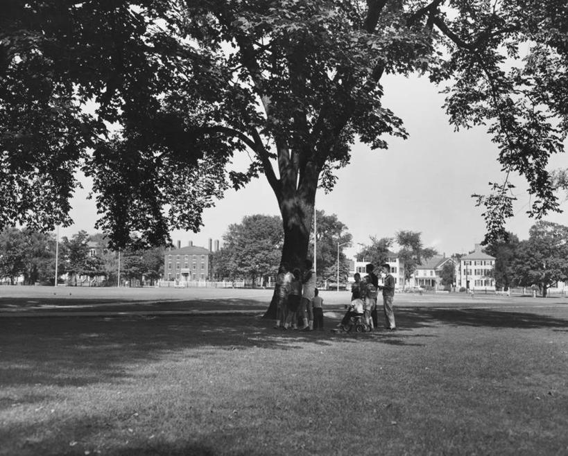 儿童,人群,公园,横图,黑白,室外,白天,建筑,自行车,汽车,美国,阴影,朦胧,模糊,车,草,树,天空,交通工具,摄影,北美,载具,马萨诸塞,塞勒姆,休闲活动