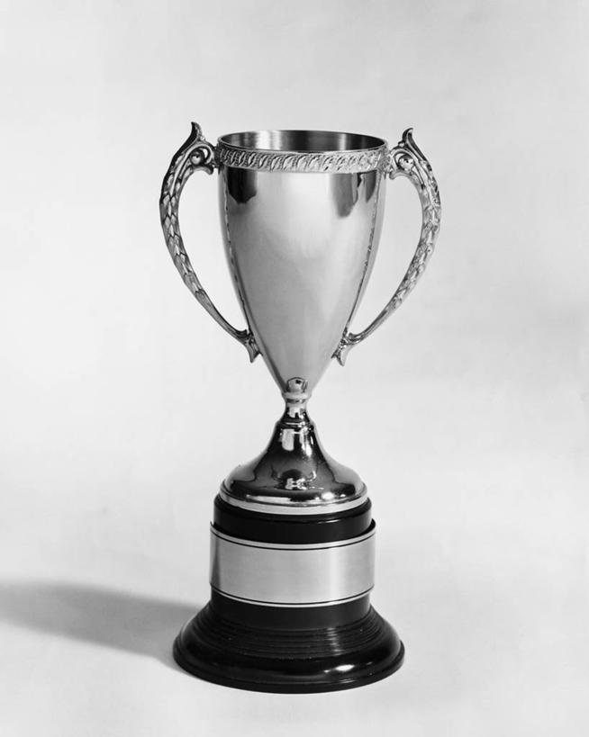 无人,竖图,黑白,室内,特写,成功,竞争,静物,阴影,光线,金属,光芒,一个,摄影,生活方式,单个,成就,获胜,奖杯