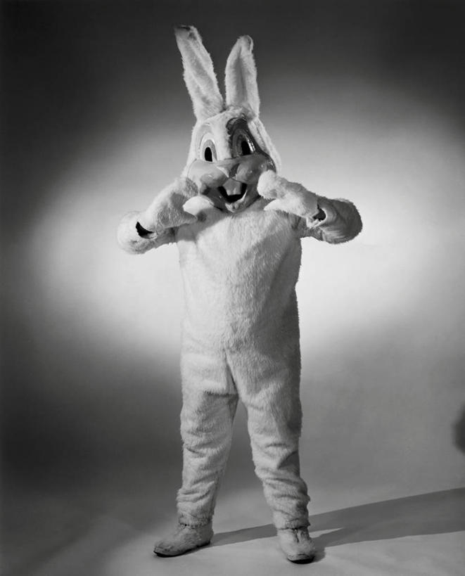 一个人,竖图,室内,特写,哺乳动物,复活节,阴影,节日,朦胧,模糊,兔子,动物,模仿,摄影,聚光灯,兔,复活节兔子,家兔,兔子装,想法,彩图,装扮,欢乐,性格