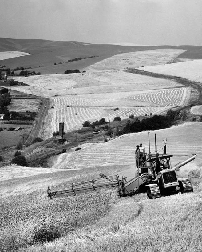 无人,农场,竖图,黑白,室外,白天,农业,农作物,机器,美景,汽车,地平线,地形,景观,田地,辽阔,地面,车,天空,自然,交通工具,广阔,机械,景色,运输,摄影,生长,收获,一望无际,自然风光,载具,延伸,农具,联合收割机,天地相交,耕具,无边无际,一马平川,农业机械