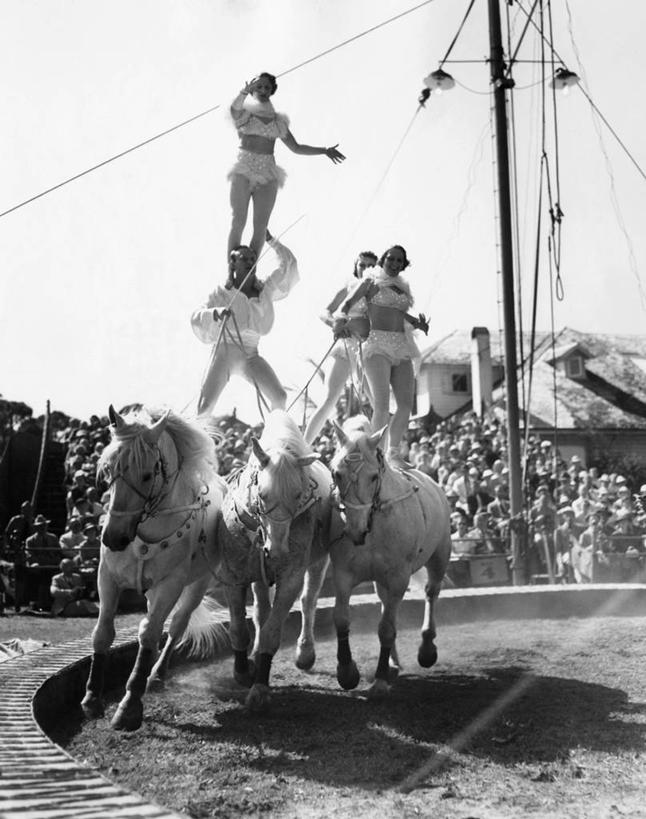 成年人,肩,人群,演员,观众,马戏团,跑,竖图,黑白,室外,白天,哺乳动物,马,野生动物,三只,表演,骑马,阴影,许多人,表演者,骑,杂技,动物,绳子,背着,一群人,家畜,平衡,摄影,巨大,庞大,事件,运送,主题,宏大,硕大,伟大,技能,危险,男人,女人,杂伎,杂技演员,服从