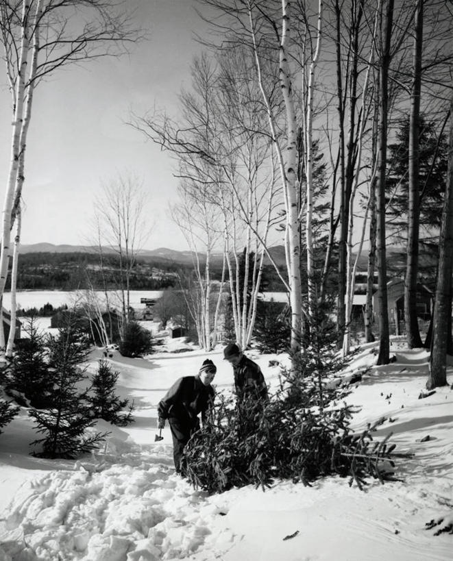 两个人,竖图,室外,白天,圣诞节,节日,摄影,男性,女性,彩图