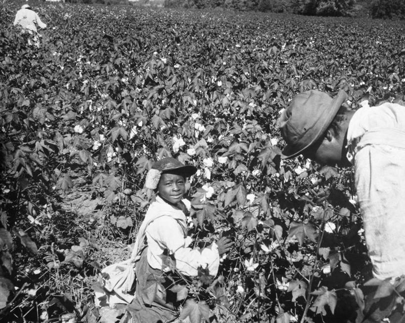 儿童,成年人,中年人,老年人,脸,头,脸颊,肩,关节,两个人,家庭,父母,父亲,农场,坐,横图,俯视,黑白,室外,白天,纯洁,农业,植物,帽子,美国,种族歧视,弯腰,丰富,工作,田地,棉花,北,休闲装,肩膀,工人,小孩,向上看,职业,温暖,温馨,一家人,可爱,童年,童趣,人体,角度,摄影,生长,部分,和睦,北美,肖像,童真,烂漫,无邪,天真,老年男性,男人,中年男性,非洲人,孩子,头部,脸部,脸蛋,面部,员工,半身,高角度拍摄,匠人,劳动者,体力工,融洽,社会问题