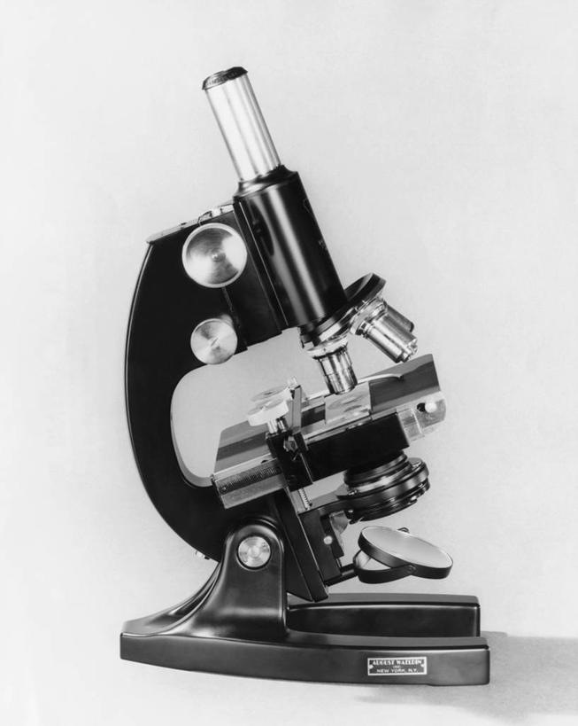 无人,竖图,黑白,室内,特写,静物,研究,科学,显微镜,一个,摄影,单个