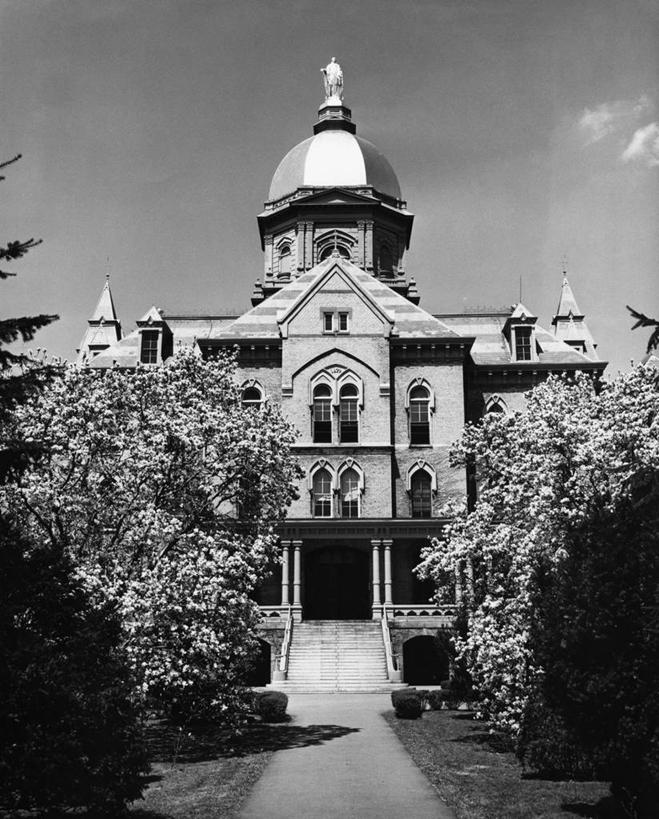 无人,学校,教学楼,竖图,黑白,室外,白天,建筑,美国,阴影,柱子,人行道,教育,校园,树,天空,教室,摄影,北美,大学,教学大楼,南湾