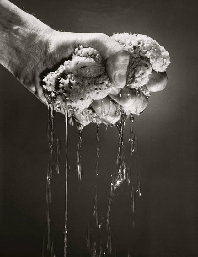 西方人,成年人,手,一个人,竖图,室内,特写,水,欧洲,欧洲人,仅一个男性,湿,海绵,挤,力量,人体,摄影,生活方式,部分,卫生,男人,白种人,彩图