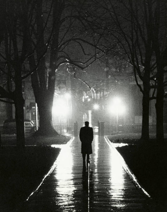 成年人,一个人,竖图,室外,夜晚,雨,仅一个男性,湿,朦胧,模糊,光,人行道,天气,树,自然,摄影,宁静,照亮,国家公园,都市风光,剪影,男人,步行,彩图,独处