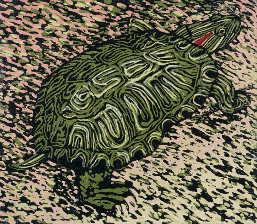 无人,坐,横图,俯视,插画,绘画,数码,科技,野生动物,阴影,艺术,印刷,网络,高光,几何,计算机图形,古典,合成,图画,文化,画,绿色,工艺品,品味,巴西龟,美术,电脑合成图,数码合成图,高雅,合成图,漫画,写实,具体,具象,美学,木版画,美术工艺,彩图,高角度拍摄