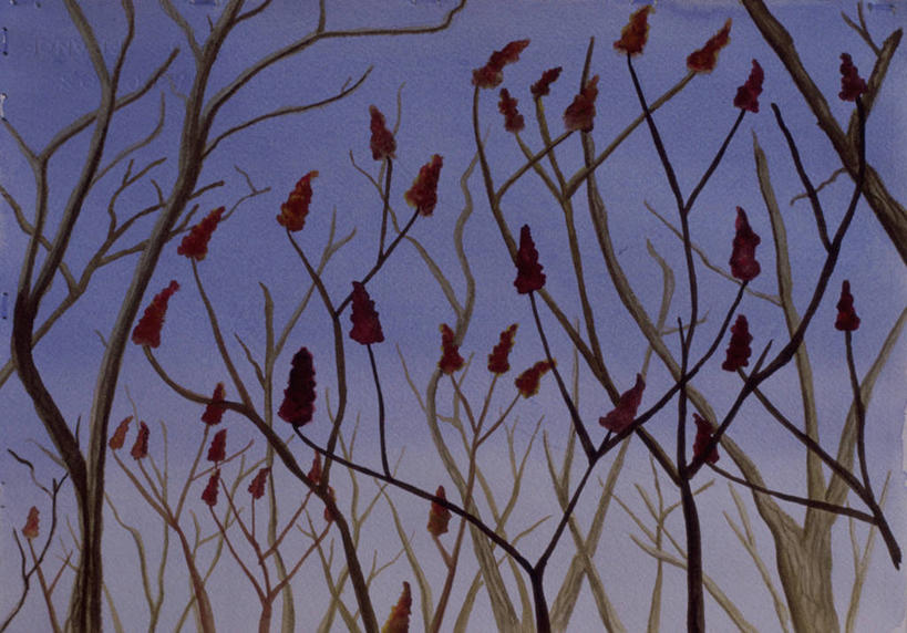 无人,横图,插画,室外,白天,仰视,绘画,数码,科技,植物,阴影,艺术,网络,枝,高光,几何,计算机图形,古典,合成,图画,文化,画,树,天空,自然,工艺品,品味,美术,电脑合成图,数码合成图,高雅,合成图,恶魔,漫画,写实,具体,具象,美学,彩图,低角度拍摄