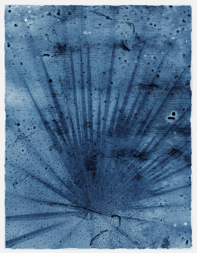 无人,竖图,插画,阶调图片,绘画,数码,科技,棕榈树,叶子,相框,阴影,艺术,网络,高光,几何,计算机图形,合成,图画,画,蓝色,自然,颜料,宁静,美术,电脑合成图,数码合成图,脆弱,合成图,漫画,想象,写实,具体,具象,美洲蒲葵,彩图