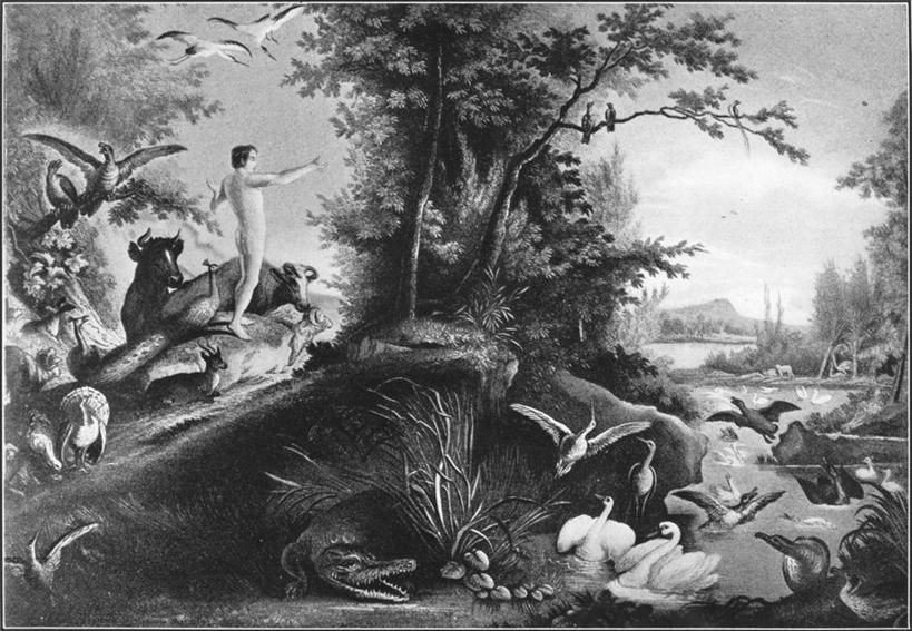 成年人,裸体,一个人,横图,黑白,插画,室外,白天,绘画,数码,科技,湖,水,仅一个男性,一群,许多,阴影,艺术,网络,鸟类,很多,高光,几何,计算机图形,古典,合成,图画,文化,画,工艺品,品味,宗教,多样,美术,电脑合成图,数码合成图,高雅,基督教,合成图,漫画,写实,具体,具象,美学,旧约,伊甸园,亚当,开端