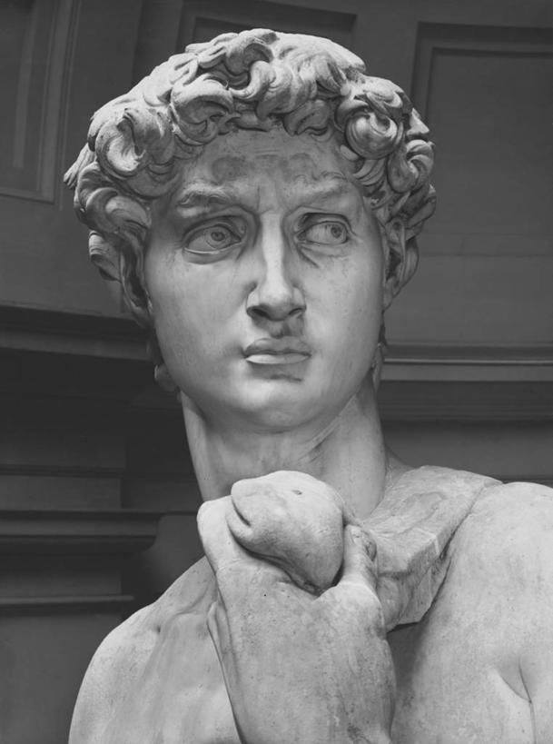 脸,头,脸颊,无人,竖图,黑白,插画,室内,特写,数码,科技,雕塑,阴影,黑色背景,网络,标志,雕像,符号,大理石,高光,几何,计算机图形,文艺复兴,合成,图画,拿着,历史,标识,肩膀,画,电脑合成图,数码合成图,国王,合成图,肖像,漫画,大卫,写实,具体,具象,性别符号,美术工艺,以色列国王,大卫王,头部,卷发,脸部,脸蛋,面部,男性符号,过去