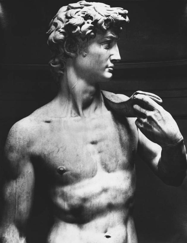 无人,竖图,黑白,插画,室内,特写,侧面,数码,科技,雕塑,阴影,黑色背景,网络,标志,雕像,符号,大理石,高光,几何,计算机图形,文艺复兴,合成,图画,拿着,历史,标识,画,躯干,电脑合成图,数码合成图,国王,合成图,肖像,漫画,大卫,写实,具体,具象,性别符号,美术工艺,以色列国王,大卫王,卷发,半身,男性符号,过去