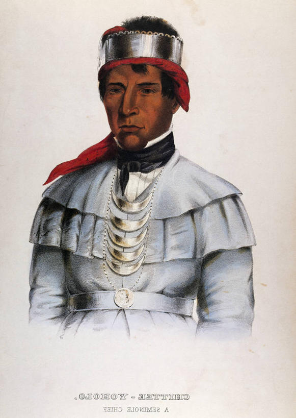 西方人,成年人,一个人,竖图,插画,白色背景,正面,数码,科技,欧洲,欧洲人,仅一个男性,阴影,印刷,网络,高光,几何,计算机图形,合成,图画,画,电脑合成图,数码合成图,合成图,奖牌,漫画,印第安人,美国文化,首领,写实,具体,具象,白种人,半身,彩图,传统服装,传统文化,平版印刷