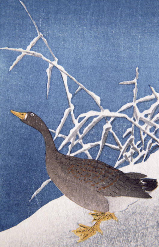 无人,竖图,插画,室外,白天,绘画,数码,科技,雪,阴影,日本文化,艺术,网络,鸟类,冬天,首都,高光,几何,计算机图形,古典,合成,图画,文化,画,自然,工艺品,品味,寒冷,美术,电脑合成图,数码合成图,高雅,合成图,漫画,华盛顿特区,写实,具体,具象,美学,美术工艺,国家美术馆,彩图