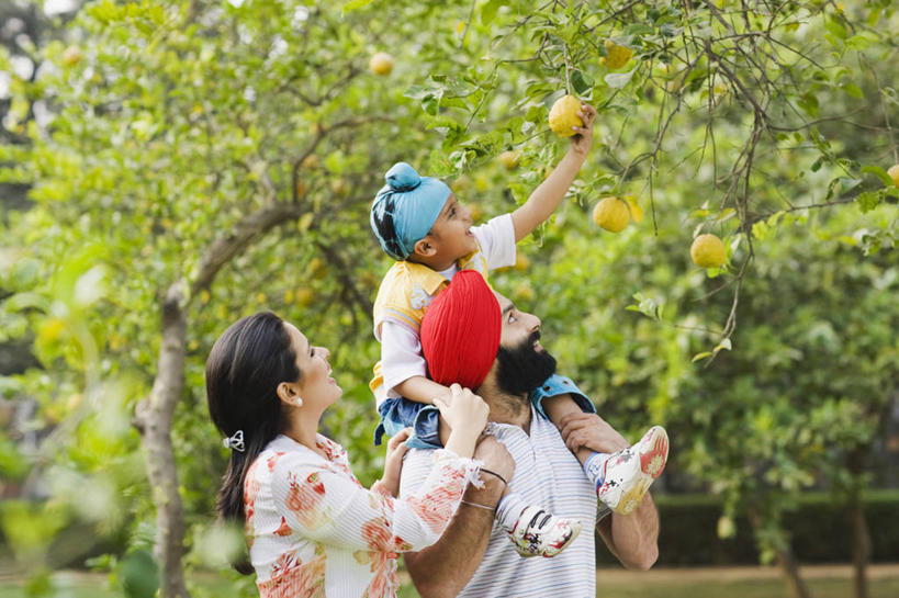 儿童,成年人,背,三个人,家庭,母亲,父亲,儿子,横图,室外,白天,纯洁,采摘,柠檬,印度,连接,头巾,枝,首都,小孩,自然,背着,温暖,温馨,一家人,柠檬树,可爱,乐趣,童年,童趣,伸手,摄影,生长,和睦,享乐,清新,童真,烂漫,无邪,健康食物,新德里,背负,天真,男孩,男性,年轻男性,年轻女性,女性,印度人,孩子,年轻人,休闲活动,半身,彩图,融洽