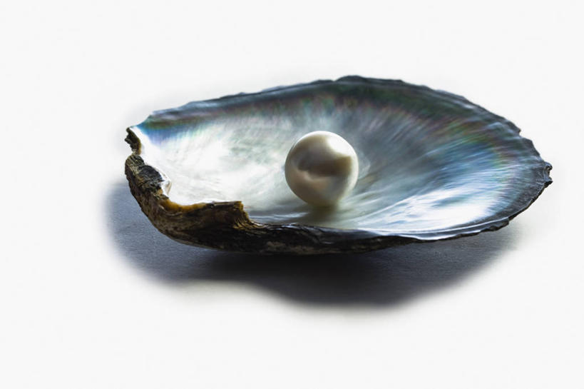 无人,横图,特写,白色背景,美景,贝壳,景观,两个,自然,景色,财富,摄影,简单,自然风光,华贵,想法,彩图,影棚拍摄,魅力