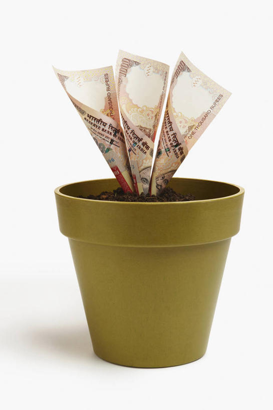 无人,竖图,白色背景,花盆,种植,泥土,绿色,四个,储蓄,金融,纸币,摄影,生长,想法,彩图,影棚拍摄
