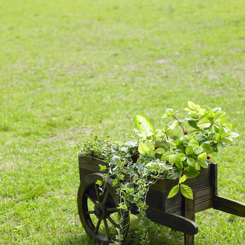 无人,竖图,俯视,室外,白天,草地,草坪,植物,一辆,阴影,光线,木制,推车,影子,车,草,绿色,阳光,木制品,手推车,交通工具,货车,小推车,载具,搬运车,彩图,高角度拍摄,平板车,手拉车