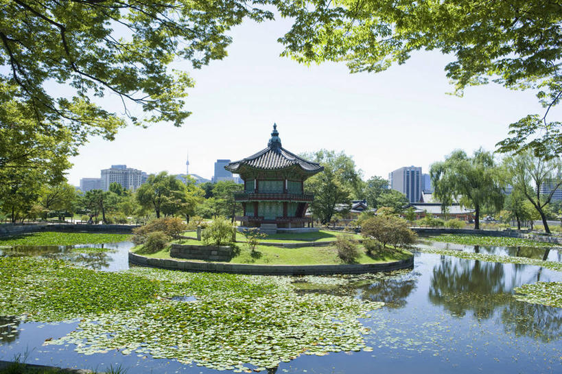 无人,宫殿,横图,室外,白天,正面,旅游,度假,草地,草坪,名胜古迹,植物,标志建筑,地标,建筑,景福宫,首尔,汉城,韩国,亚洲,阴影,遗迹,光线,瓦片,影子,亭子,屋顶,屋檐,池塘,水池,浮萍,首都,顶棚,古迹,文物,娱乐,建设,古建筑,檐,草,树,树木,绿色,倒影,天空,阳光,自然,凉亭,天,享受,休闲,旅游胜地,放松,生长,成长,倒映,水生植物,古文明,东亚,大韩民国,首尔市,首尔特别市,特别市,北阙,王宫,反照,彩图,青萍