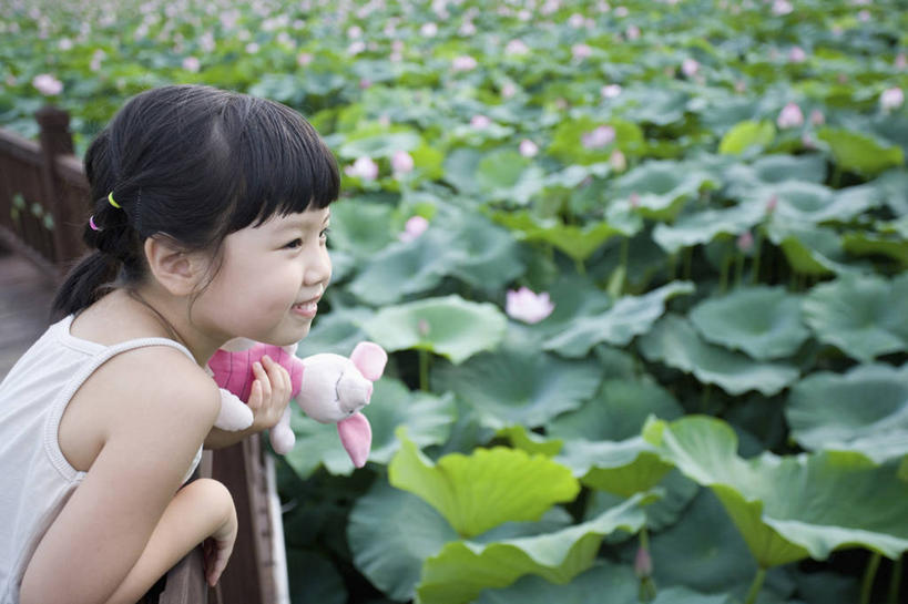 东方人,儿童,一个人,栏杆,站,笑,微笑,露齿笑,横图,室外,白天,侧面,纯洁,莲花,叶子,吊带,亚洲,仅一个女性,仅一个人,撑,阴影,服装,盛开,光线,背心,影子,围栏,荷叶,花蕾,注视,吊带衫,黄种人,护栏,花,花瓣,花朵,鲜花,小孩,衣服,绿色,阳光,花苞,花蕊,观察,看,站着,仅一个小孩,可爱,童年,童趣,服饰,观看,察看,撑着,富贵,神圣,衣着,穿着,关注,童真,烂漫,无邪,纯净,莲叶,六月花神,正直,衣饰,天真,鞭蕖,鞭蓉,芙蕖,菡萏,荷花,六月春,藕花,水旦,水芙蓉,水华,水芸,溪客,女孩,女人,女性,亚洲人,孩子,叶,叶片,站立,半身,彩图,女生