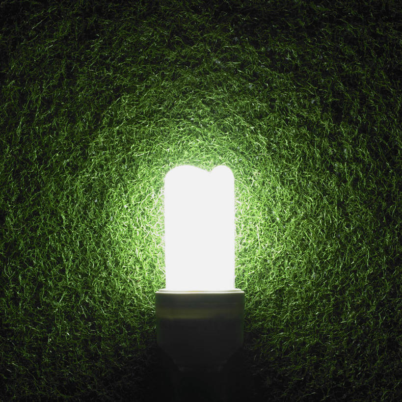 无人,方图,室内,特写,白天,正面,节能,静物,照明,绿色背景,阴影,环保,光线,灯泡,影子,灯光,灯,节能灯,一个,灯具,摄影,影棚,能源,单个,照亮,低碳,照明工具,荧光灯,U型,U型管节能灯,彩图,影棚拍摄,拍摄