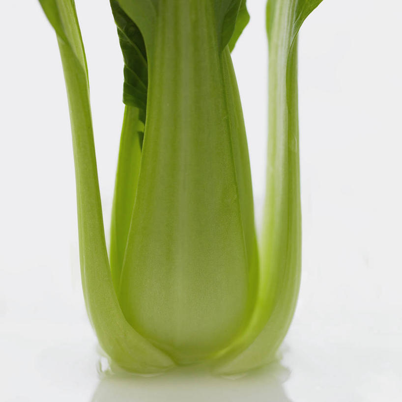 无人,竖图,室内,特写,白天,白色背景,正面,蔬菜,阴影,新鲜,反射,影子,青菜,食品,食物,一个,绿色,摄影,有机食品,绿色食品,影棚,单个,小白菜,不结球白菜,彩图,影棚拍摄,拍摄