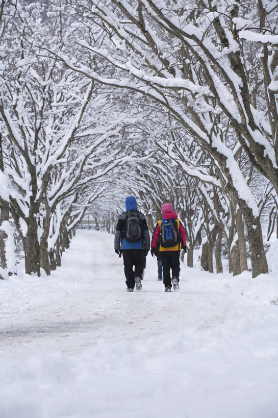 东方人,两个人,走,竖图,室外,白天,旅游,度假,美景,雪,植物,大雪,亚洲,行人,游客,游人,阴影,服装,光线,影子,积雪,景观,雪景,冬季,冬天,黄种人,娱乐,路人,旅客,树,树木,背面,衣服,绿色,阳光,自然,享受,休闲,景色,放松,寒冷,服饰,生长,成长,衣着,穿着,自然风光,严寒,衣饰,过客,男人,男性,年轻男性,年轻女性,女人,女性,亚洲人,步行,散步,走路,彩图,全身