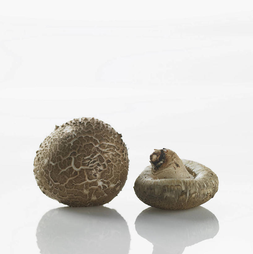 无人,竖图,室内,特写,白天,白色背景,正面,餐桌,桌子,蔬菜,阴影,新鲜,反射,影子,菌菇,香菇,食品,褐色,菌类,食物,两个,食用菌,摄影,有机食品,绿色食品,影棚,餐台,真菌,椎茸,彩图,影棚拍摄,拍摄,平庄菇,香菌,香蕈