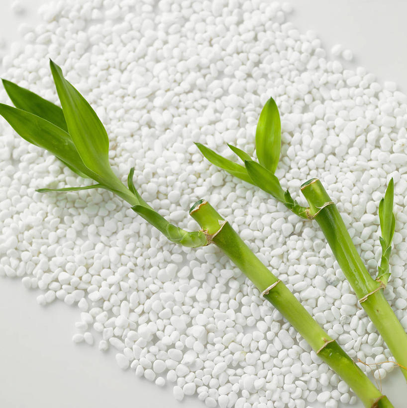 无人,竖图,俯视,室内,特写,白天,白色背景,石头,餐桌,桌子,叶子,两根,一堆,许多,阴影,堆叠,堆积,反射,石子,影子,绿叶,很多,白色,嫩叶,摄影,影棚,餐台,堆,吉祥,富贵,吉利,富贵竹,开运竹,辛氏龙树,竹蕉,平安,叶,叶片,石块,彩图,高角度拍摄,影棚拍摄,拍摄