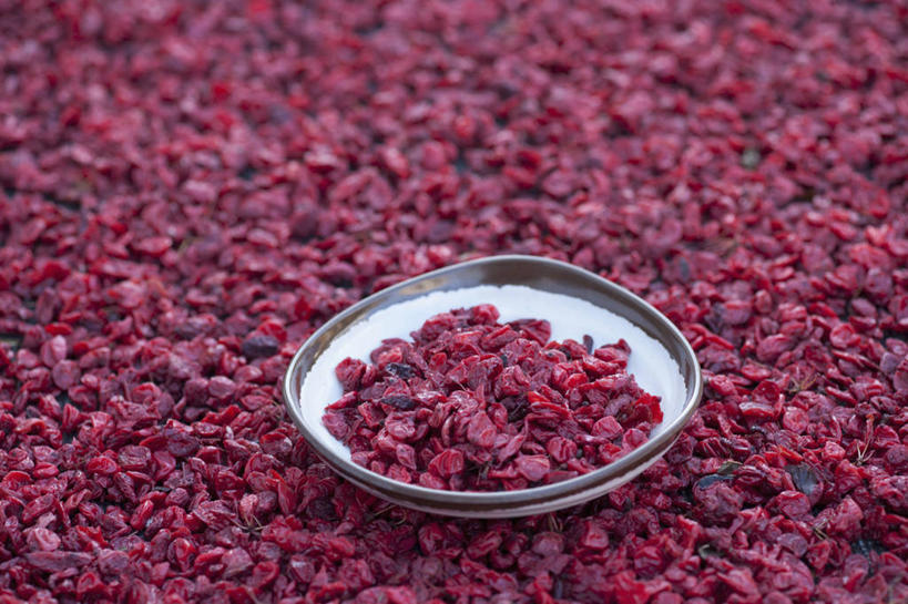 无人,横图,俯视,室外,特写,白天,植物,餐具,一堆,许多,堆叠,堆积,碟子,盘,果实,草药,药草,很多,中药,一个,红色,盘子,碟,单个,堆,枸杞子,枸杞,药材,中草药,中药材,本草,苟起子,枸杞豆,枸杞果,血杞子,彩图,高角度拍摄