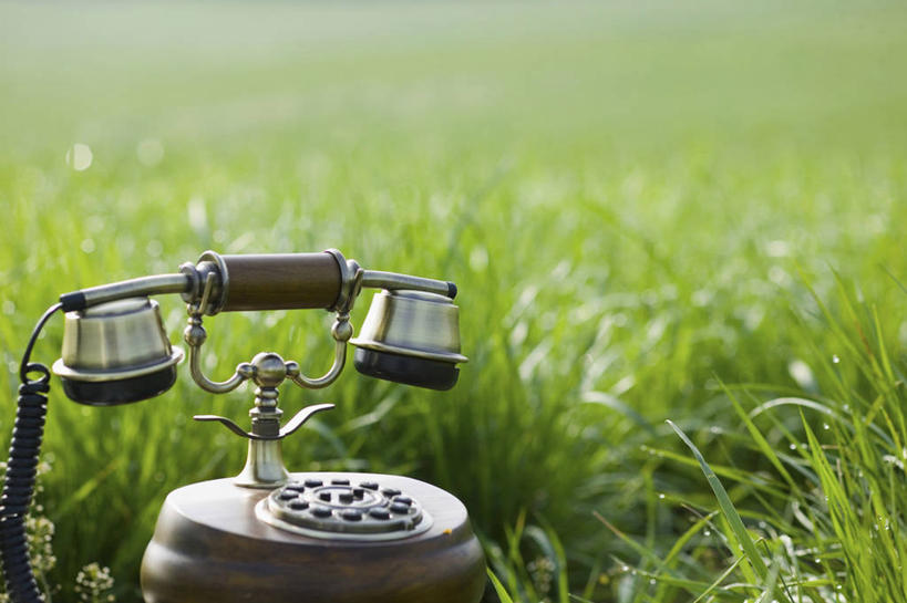 无人,打电话,横图,室外,特写,白天,正面,草地,草坪,美景,植物,电话,阴影,朦胧,模糊,光线,影子,景观,通讯设备,草,绿色,阳光,自然,话筒,电话线,景色,自然风光,一部,交流,老式电话,电话机,沟通,通话,彩图,旋转号盘电话机