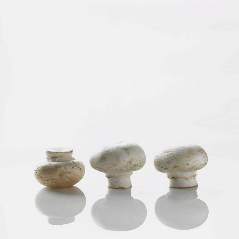 无人,竖图,室内,特写,白天,白色背景,正面,蔬菜,一排,阴影,新鲜,整齐,并列,并排,反射,影子,菌菇,蘑菇,食品,菌类,食物,排列,三个,白色,食用菌,摄影,有机食品,绿色食品,影棚,真菌,队列,平行,白蘑菇,洋蘑菇,草腐菌,二孢蘑菇,双孢蘑菇,彩图,影棚拍摄,拍摄