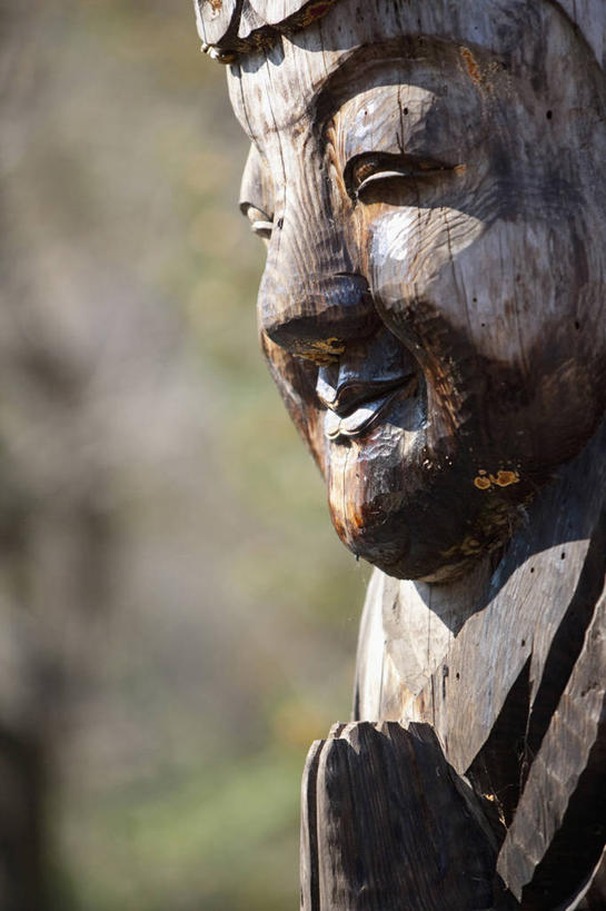 无人,竖图,室外,特写,白天,正面,木雕,雕塑,阴影,朦胧,模糊,艺术,装饰,光线,雕刻,雕像,娃娃,影子,阳光,工艺品,纪念,美术,主题,陈列,功能,美学,彩图