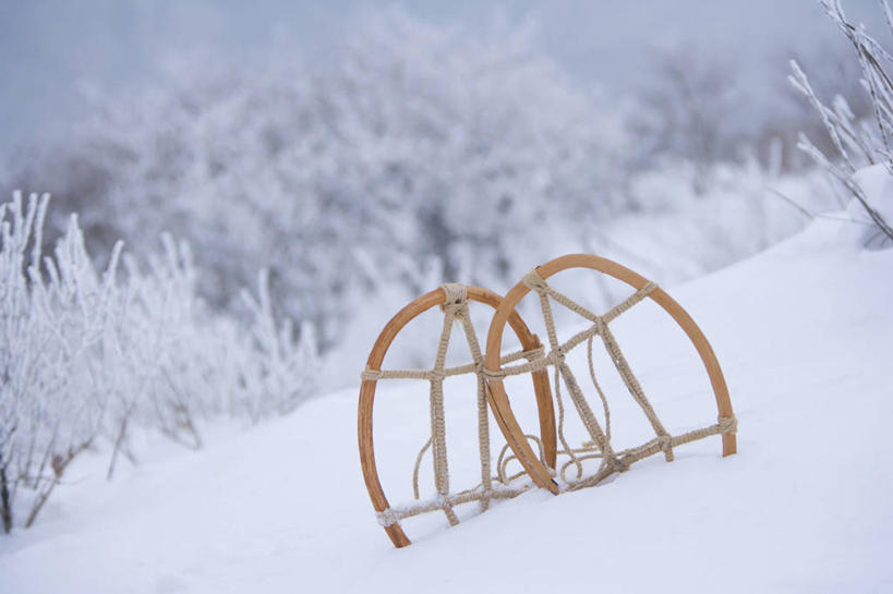 无人,横图,室外,白天,正面,美景,树林,雪,植物,大雪,一双,朦胧,模糊,积雪,景观,雪景,冬季,冬天,运动器械,树,树木,绿色,自然,健身器械,景色,寒冷,生长,成长,滑雪鞋,自然风光,健身器材,滑雪装备,严寒,彩图,运动器材