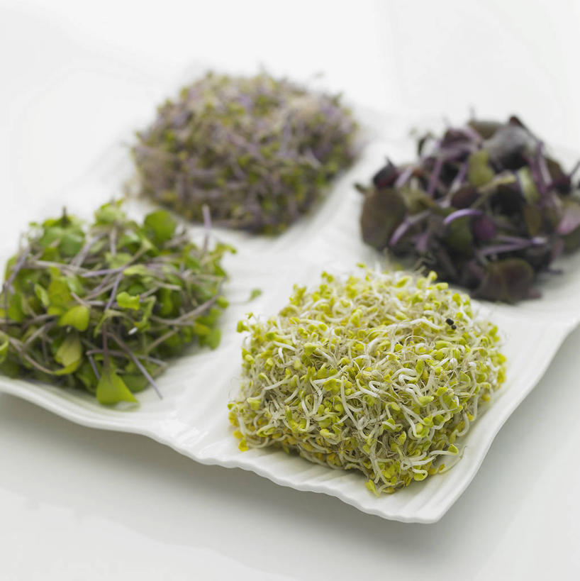 无人,竖图,俯视,室内,特写,白天,白色背景,餐桌,桌子,蔬菜,餐具,叶子,一堆,许多,阴影,堆叠,堆积,朦胧,模糊,新鲜,反射,碟子,盘,影子,豆芽,黄豆芽,食品,绿叶,很多,食物,盘子,碟,嫩叶,摄影,有机食品,绿色食品,影棚,餐台,堆,豆芽菜,芽苗菜,叶,叶片,彩图,高角度拍摄,影棚拍摄,拍摄