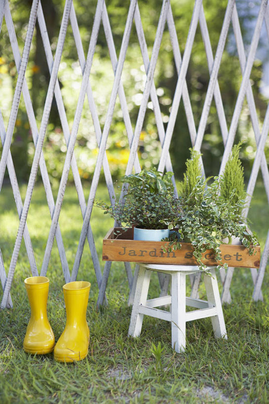 无人,栏杆,竖图,室外,白天,正面,草地,草坪,美景,植物,鞋子,椅子,花盆,阴影,朦胧,模糊,光线,影子,雨鞋,雨靴,栅栏,陶瓷,木椅,景观,篱笆,围栏,收纳盒,陶瓷制品,靴子,护栏,盒子,草,黄色,绿色,白色,阳光,自然,容器,景色,生长,成长,储藏,储存,自然风光,胶鞋,彩图,古董盒,贮存