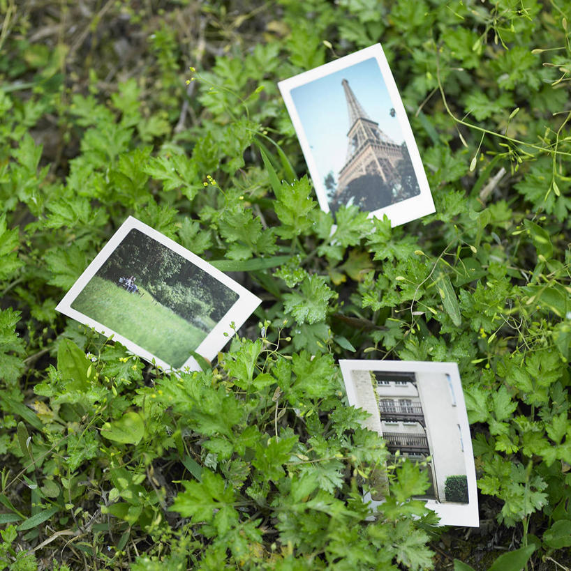 无人,竖图,俯视,照片,室外,特写,白天,植物,叶子,阴影,光线,影子,绿叶,三张,绿色,阳光,自然,嫩叶,摄影,生长,成长,叶,叶片,相片,彩图,高角度拍摄,拍摄,照相